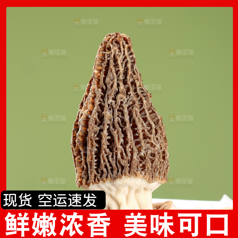 羊肚菌