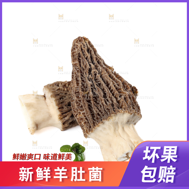 羊肚菌