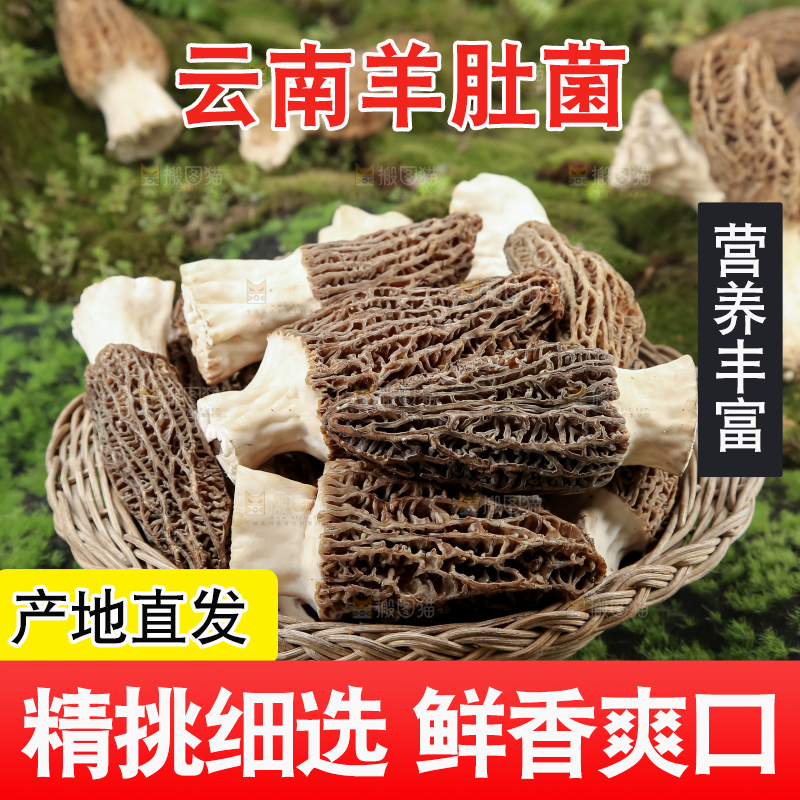 羊肚菌