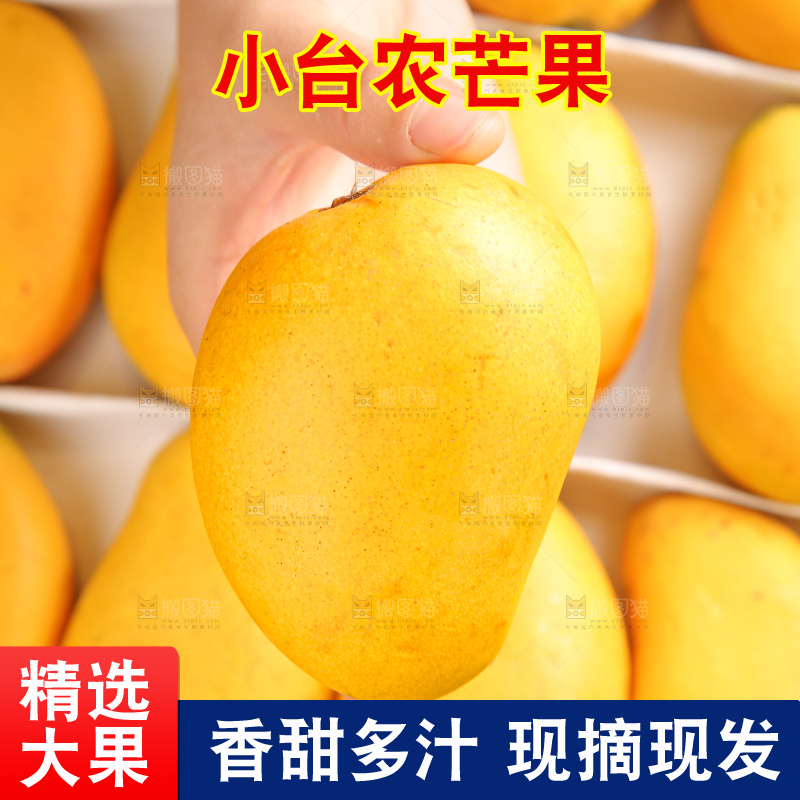 小台芒