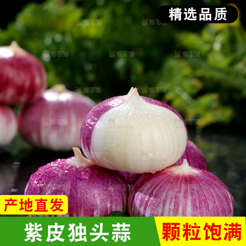 独头蒜