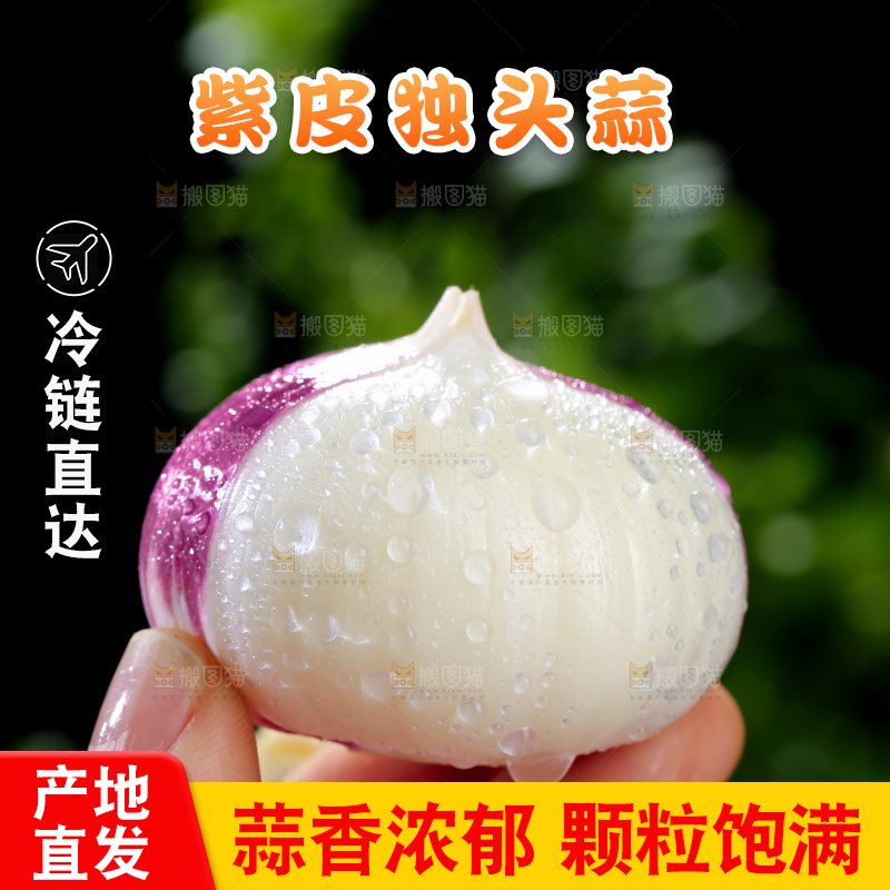 独头蒜