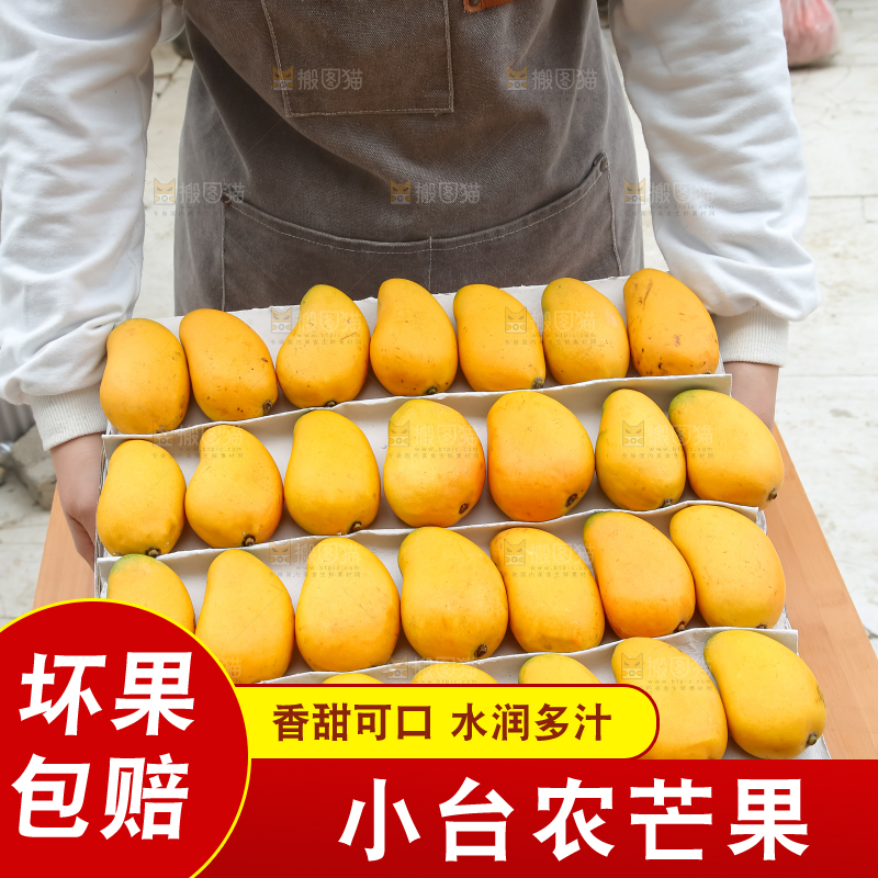 小台芒