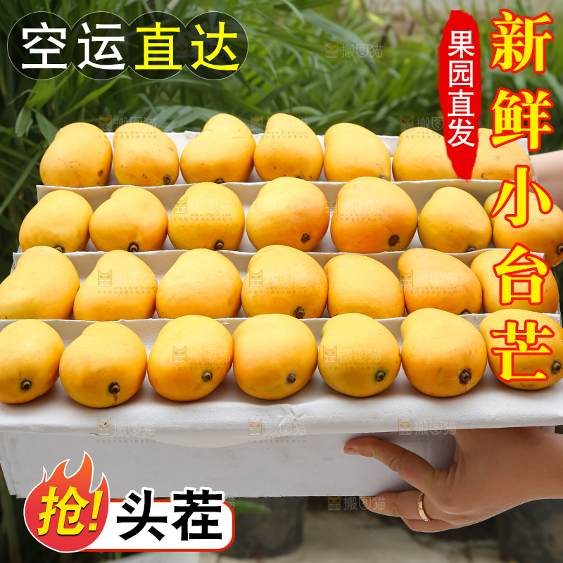 小台芒
