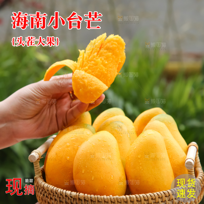 小台芒