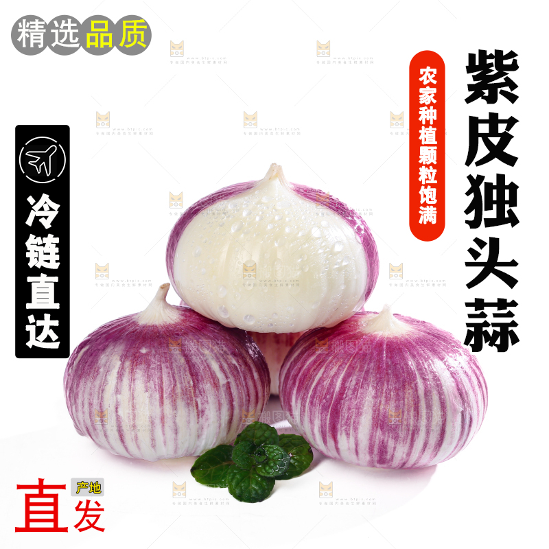 独头蒜