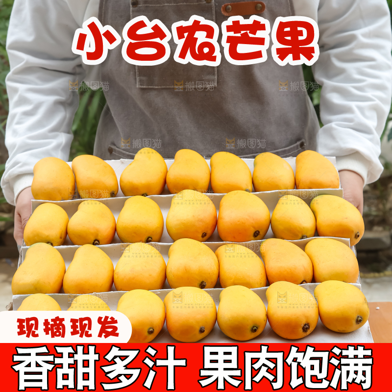 小台芒
