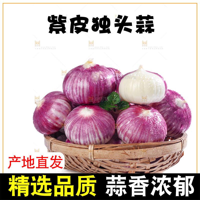 独头蒜