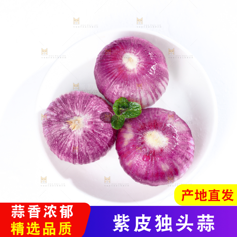 独头蒜