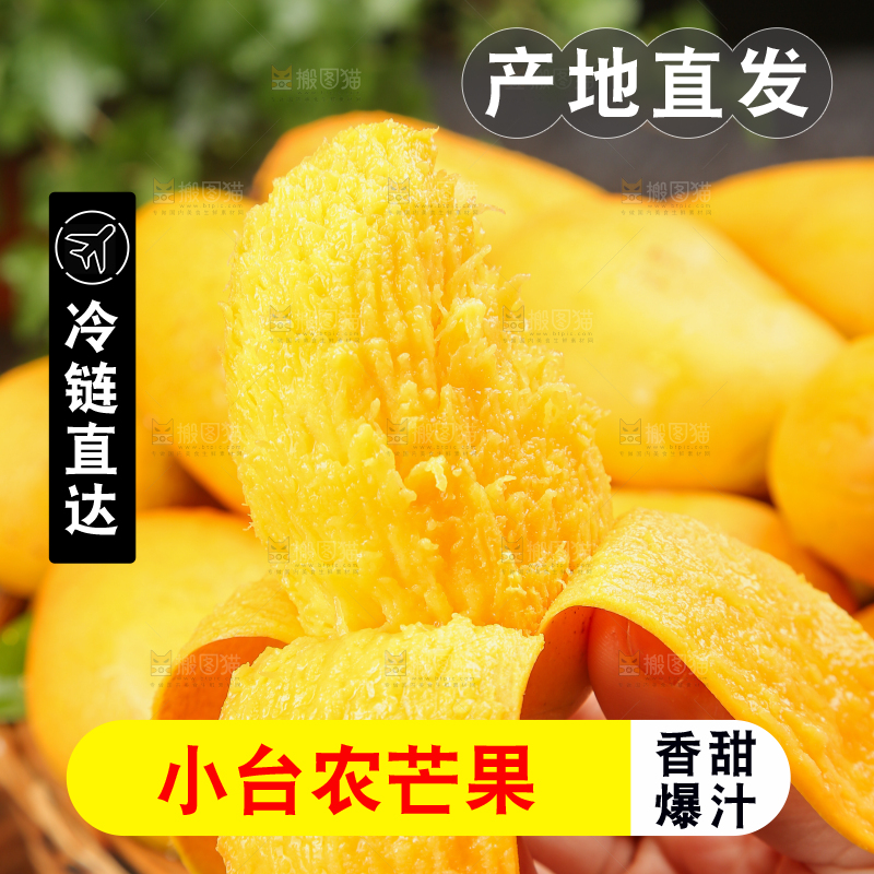 小台芒