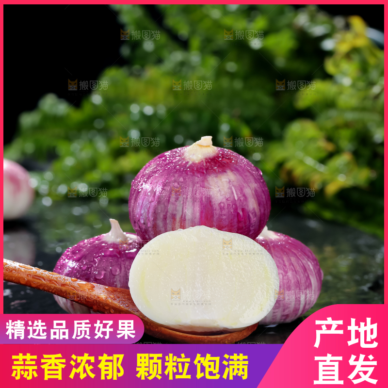 独头蒜