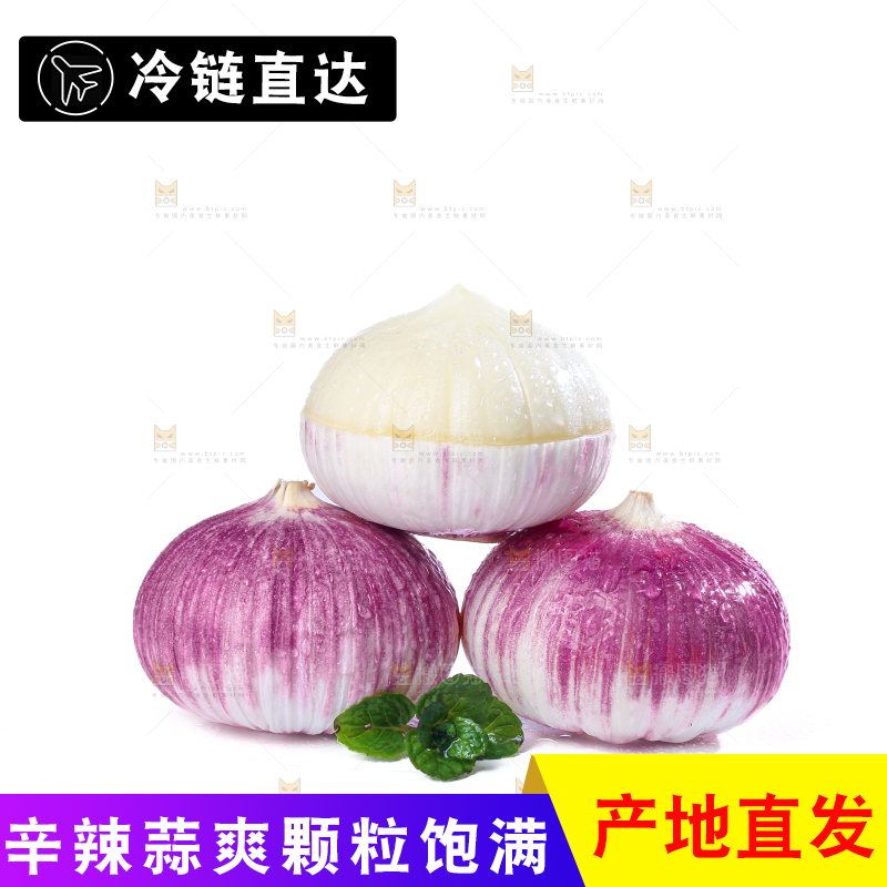 独头蒜