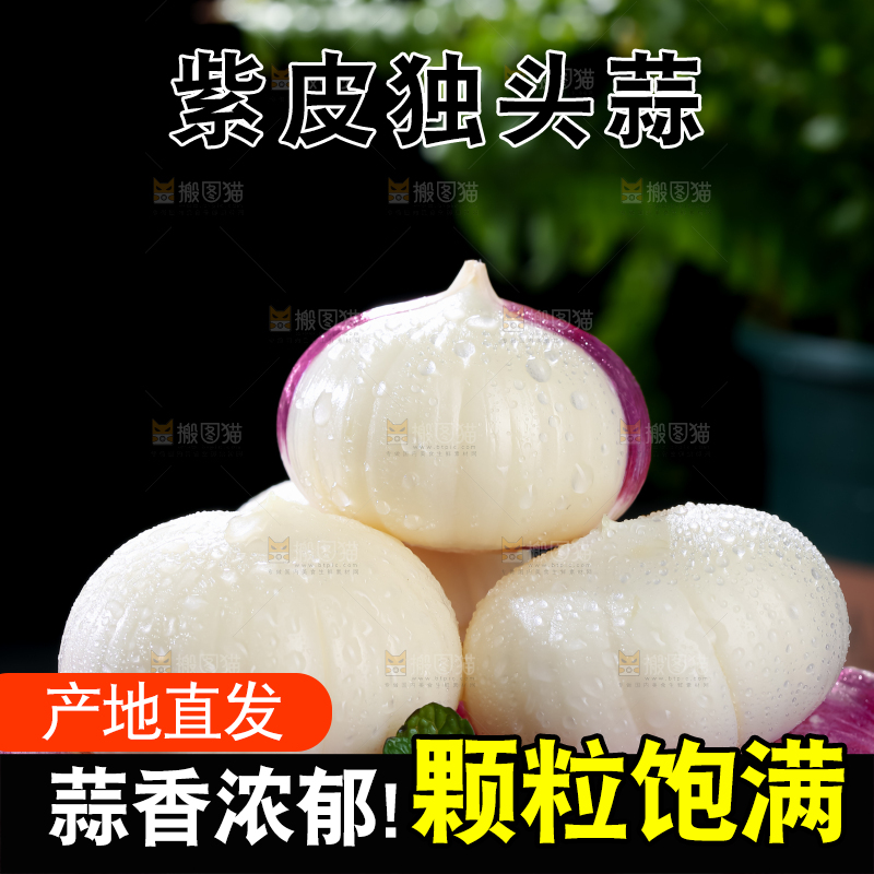 独头蒜