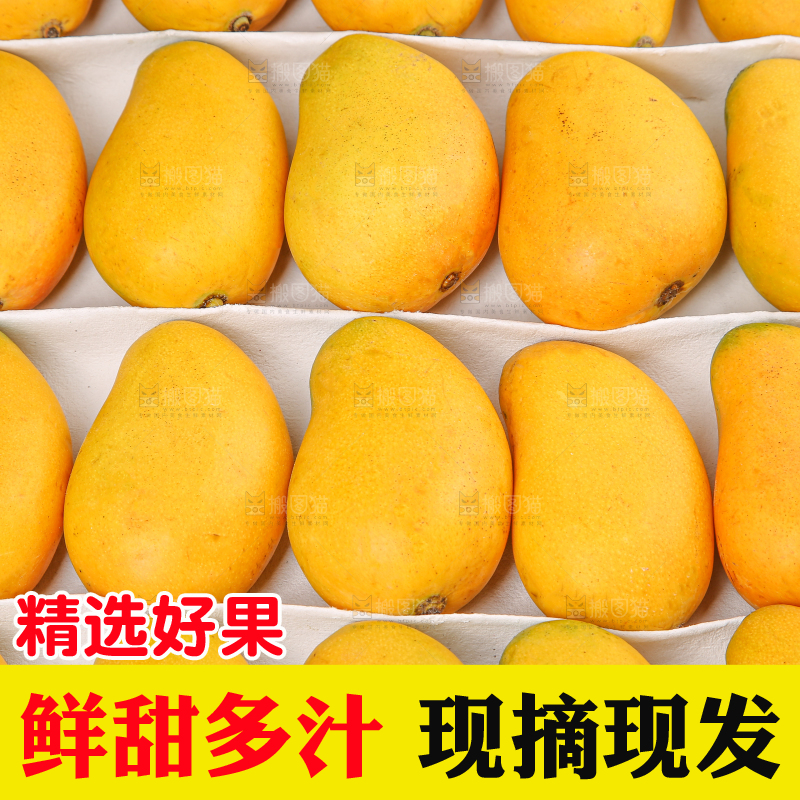 小台芒