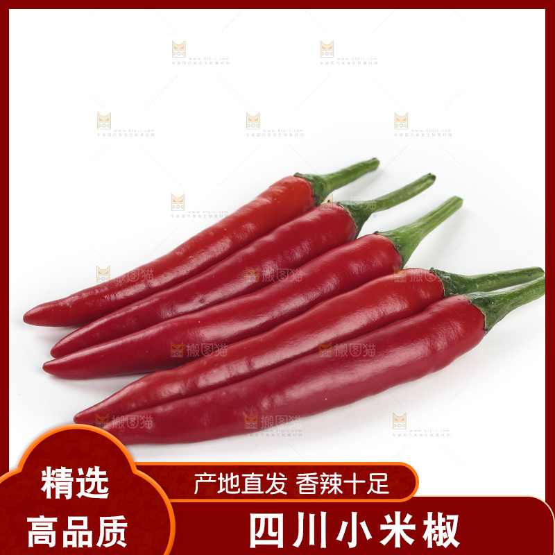 小米辣