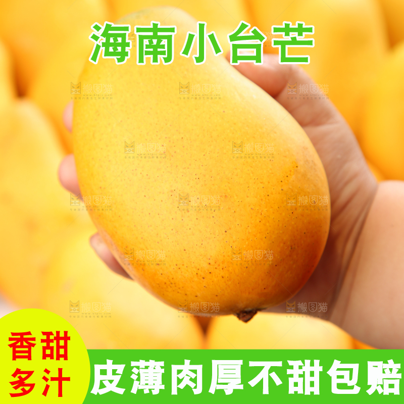 小台芒