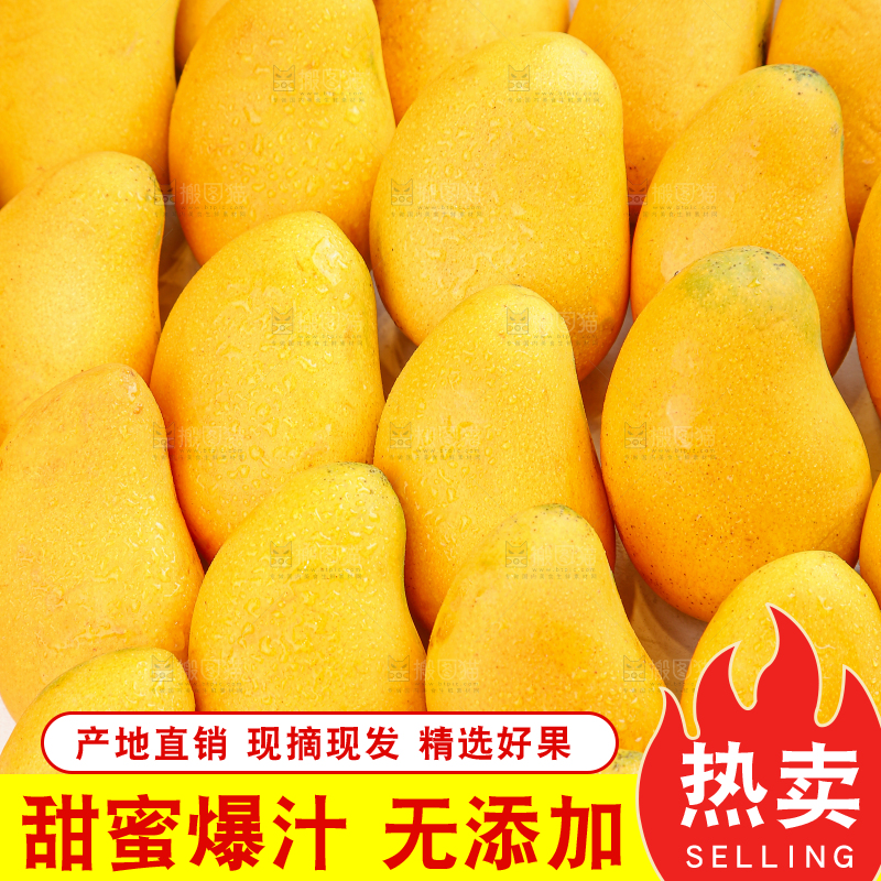 小台芒