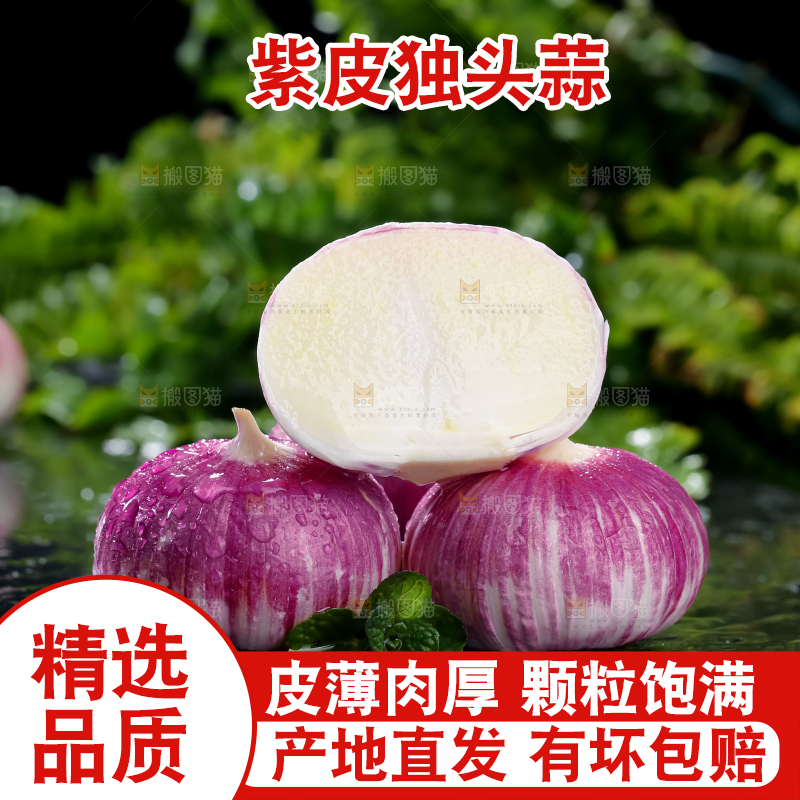 独头蒜