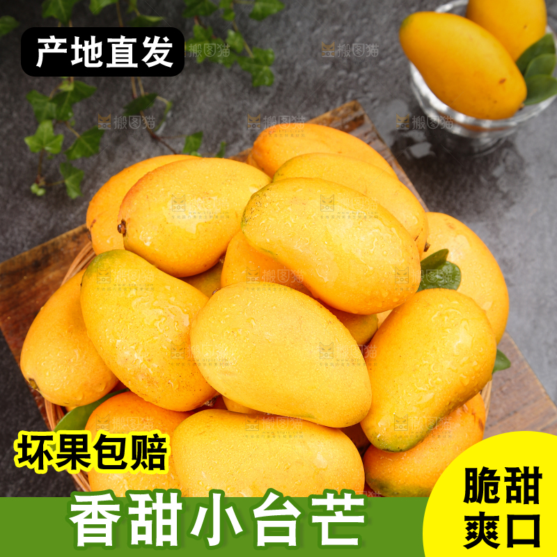 小台芒