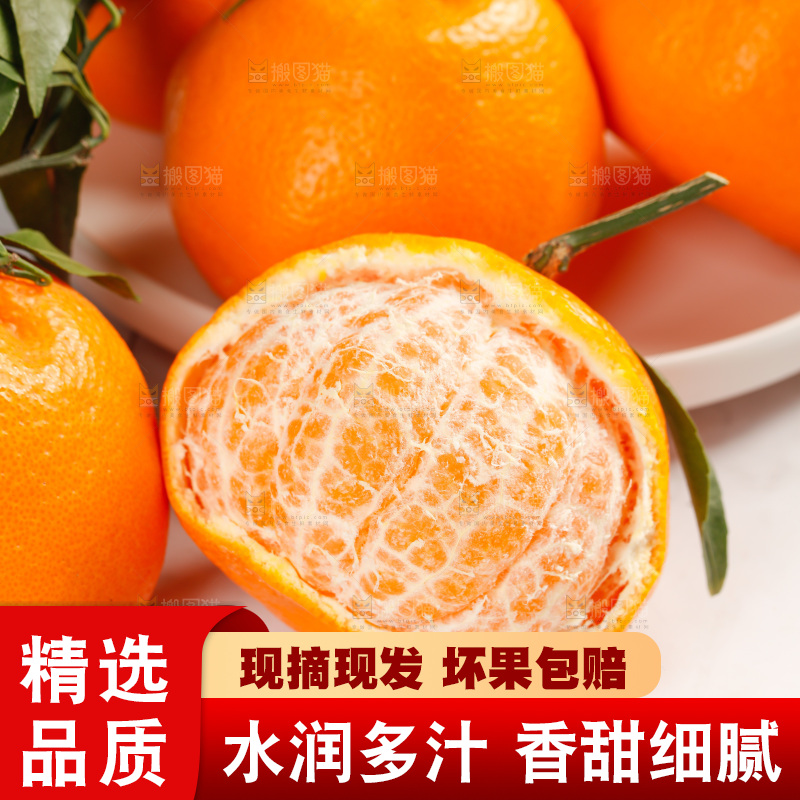 春见耙耙柑