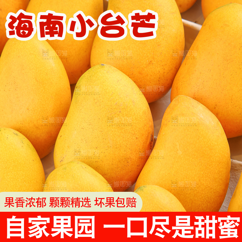 小台芒