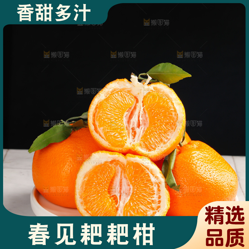 春见耙耙柑