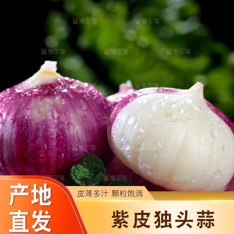 独头蒜