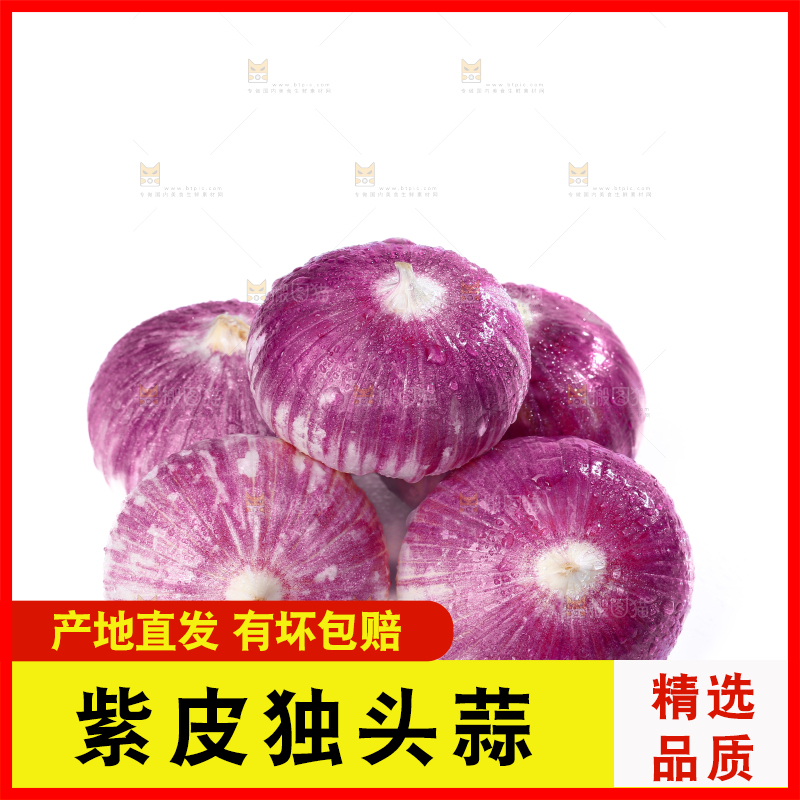 独头蒜