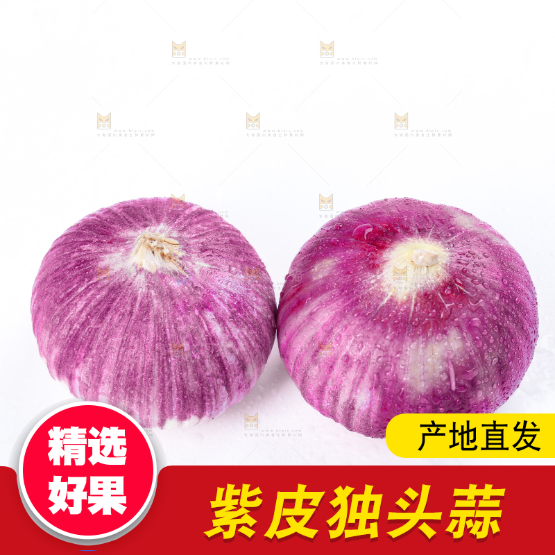 独头蒜