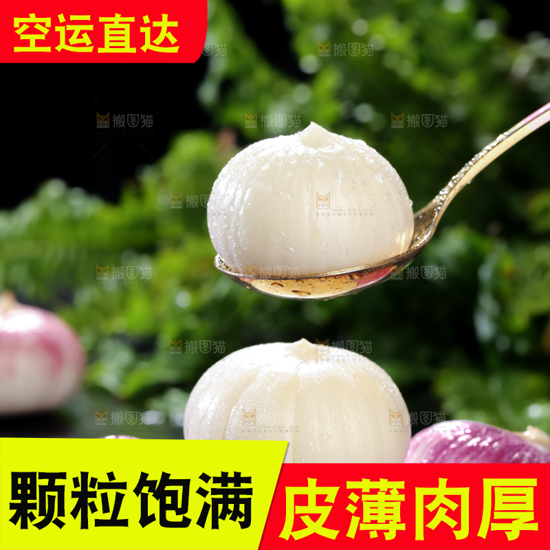 独头蒜