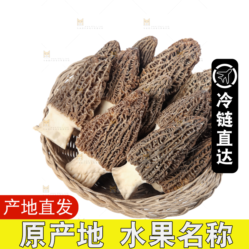 羊肚菌