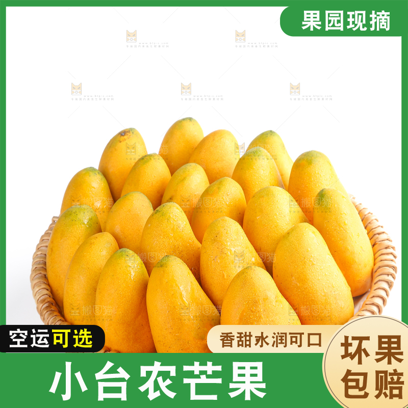 小台芒
