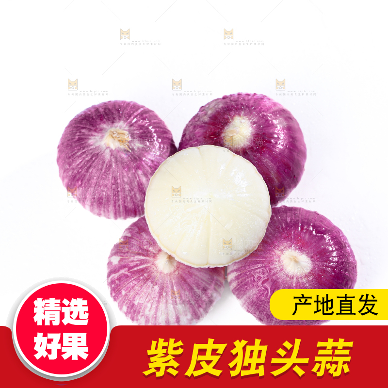 独头蒜