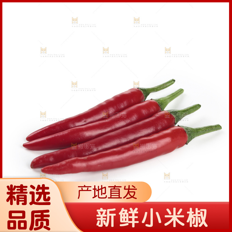 小米辣