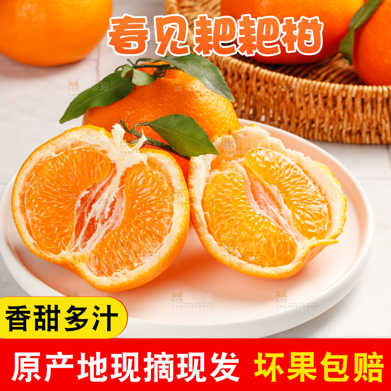 春见耙耙柑