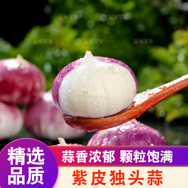 独头蒜