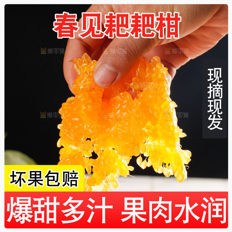 春见耙耙柑