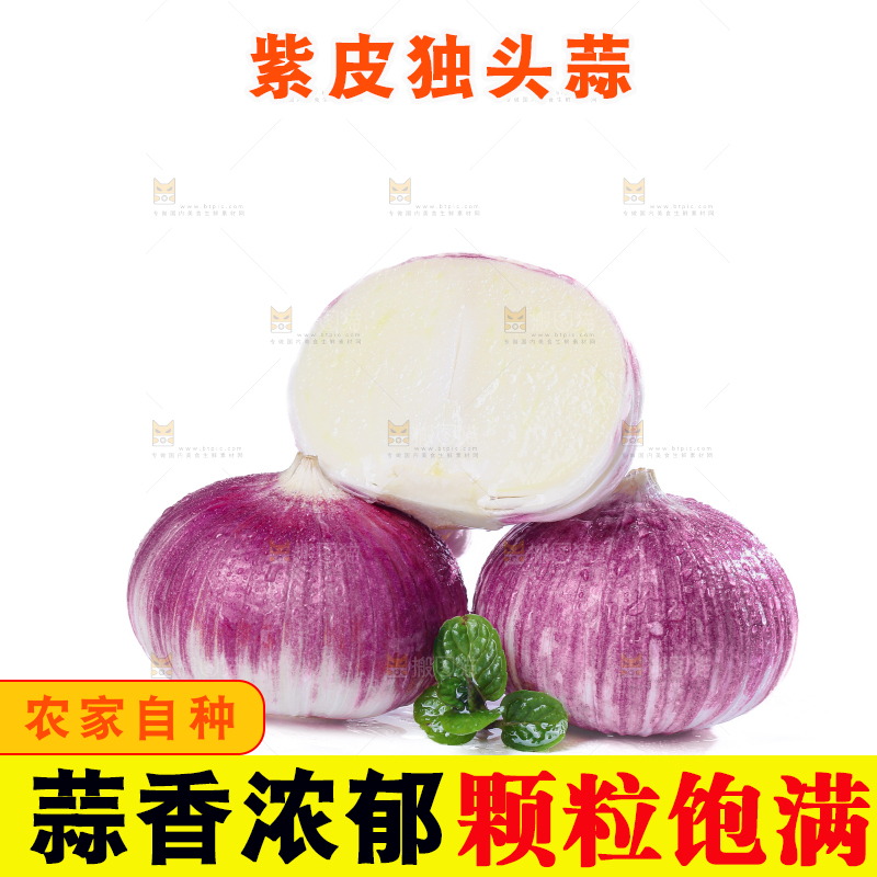 独头蒜