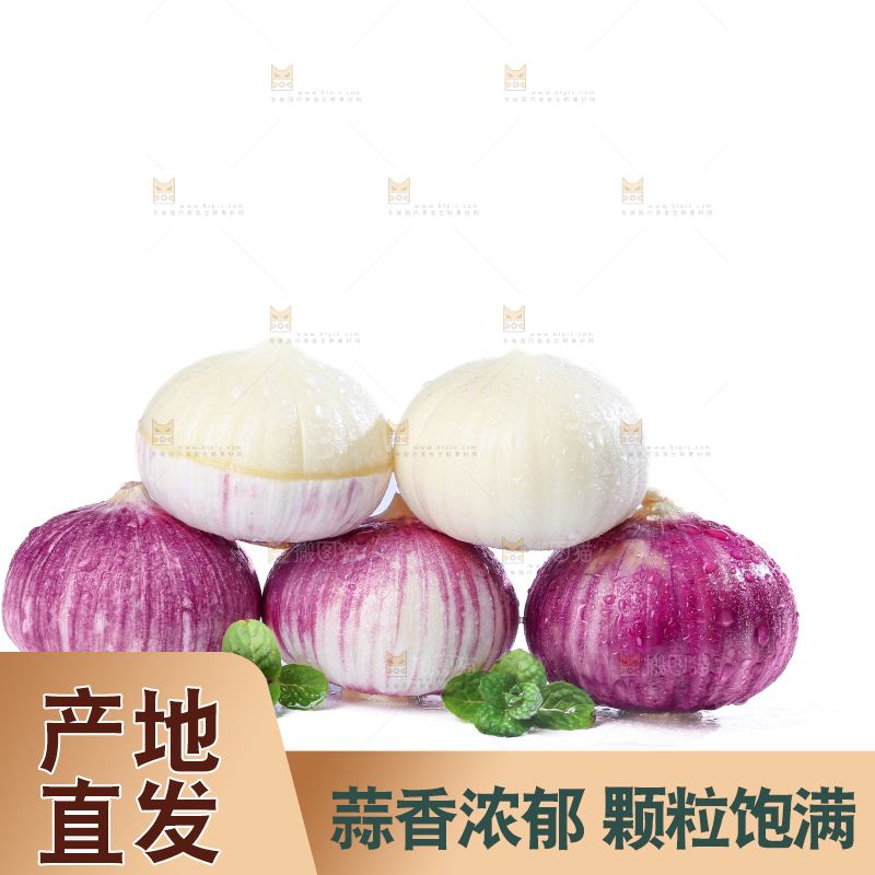 独头蒜