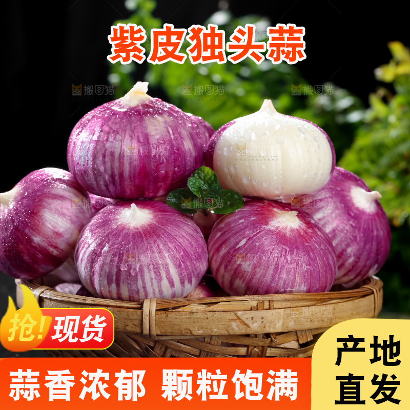 独头蒜