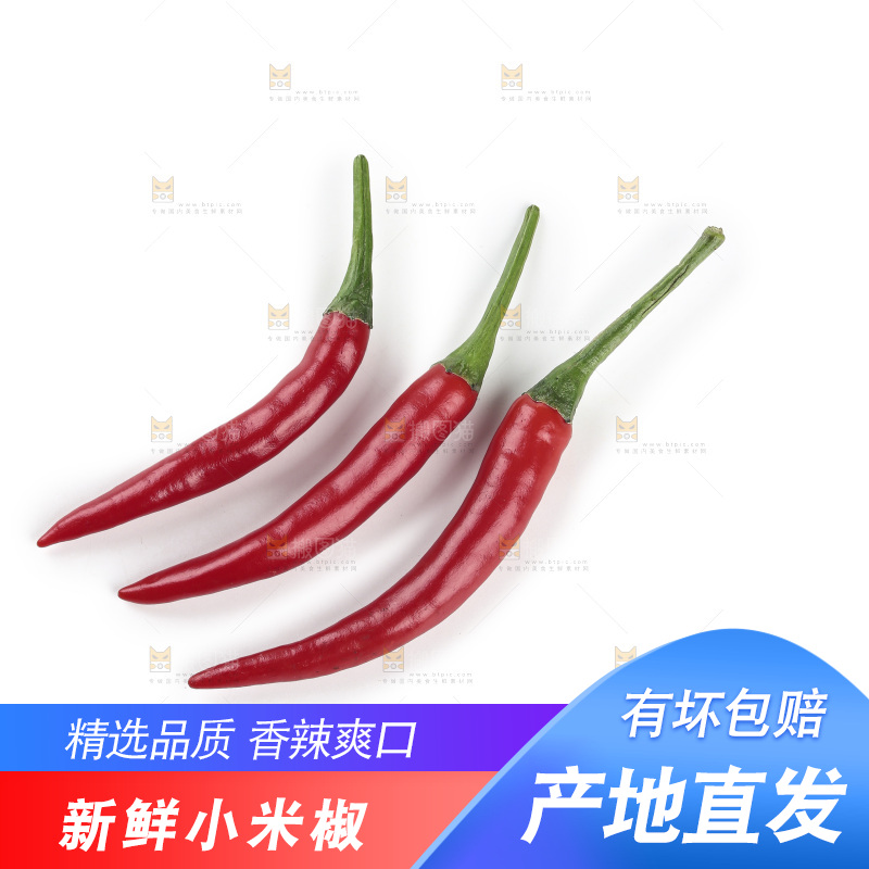 小米辣