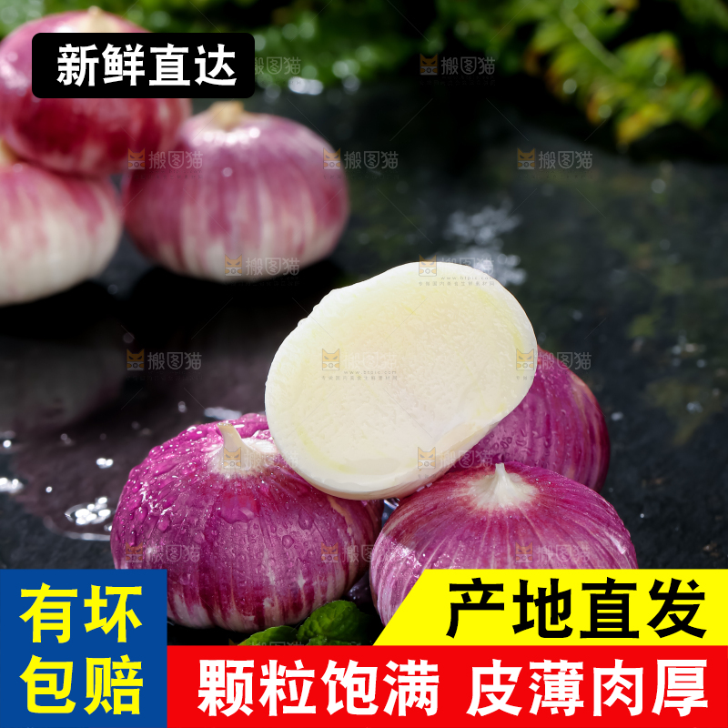 独头蒜