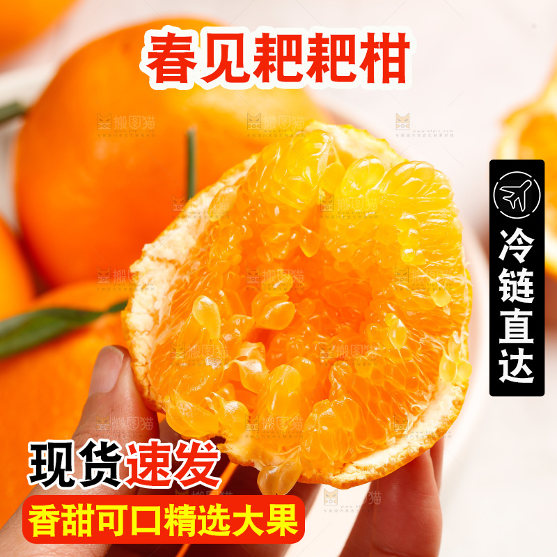 春见耙耙柑