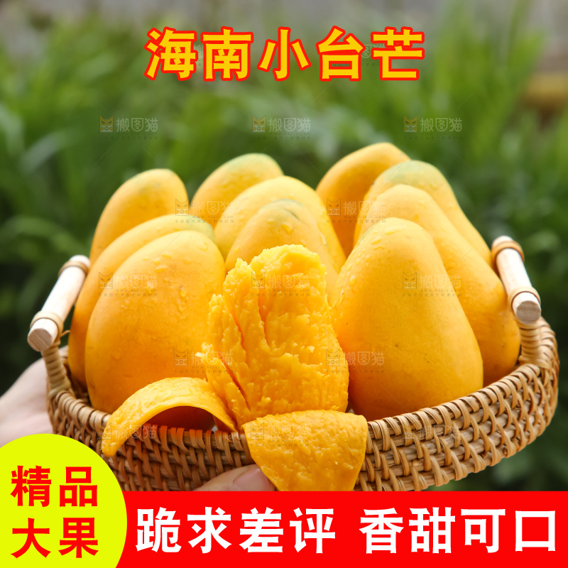 小台芒