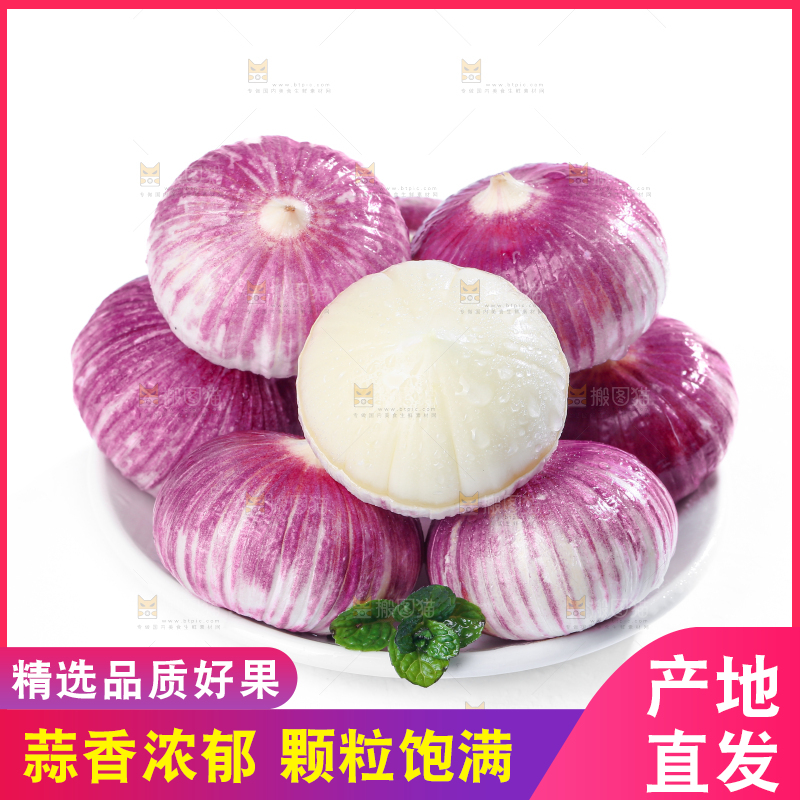 独头蒜