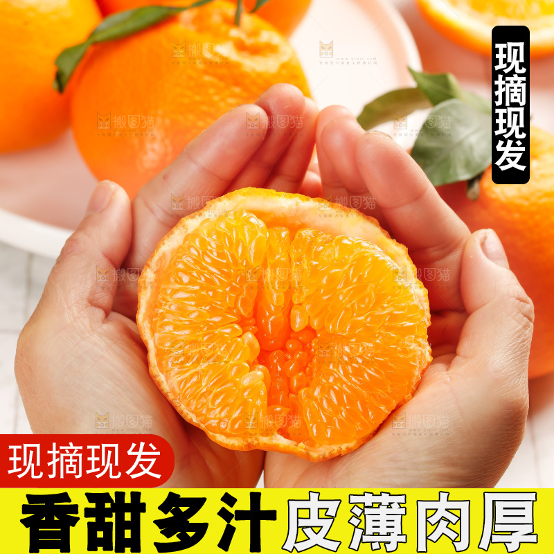 春见耙耙柑