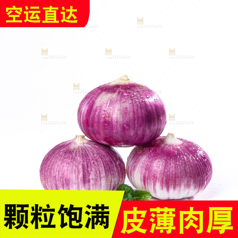 独头蒜