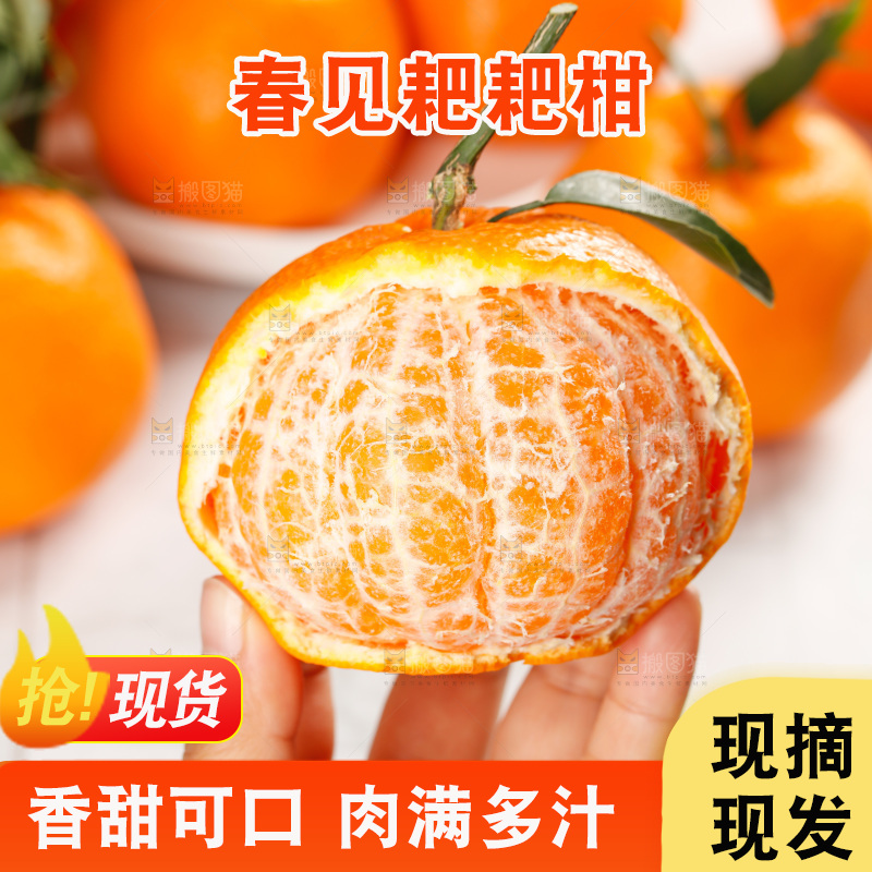 春见耙耙柑