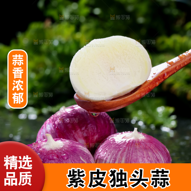 独头蒜