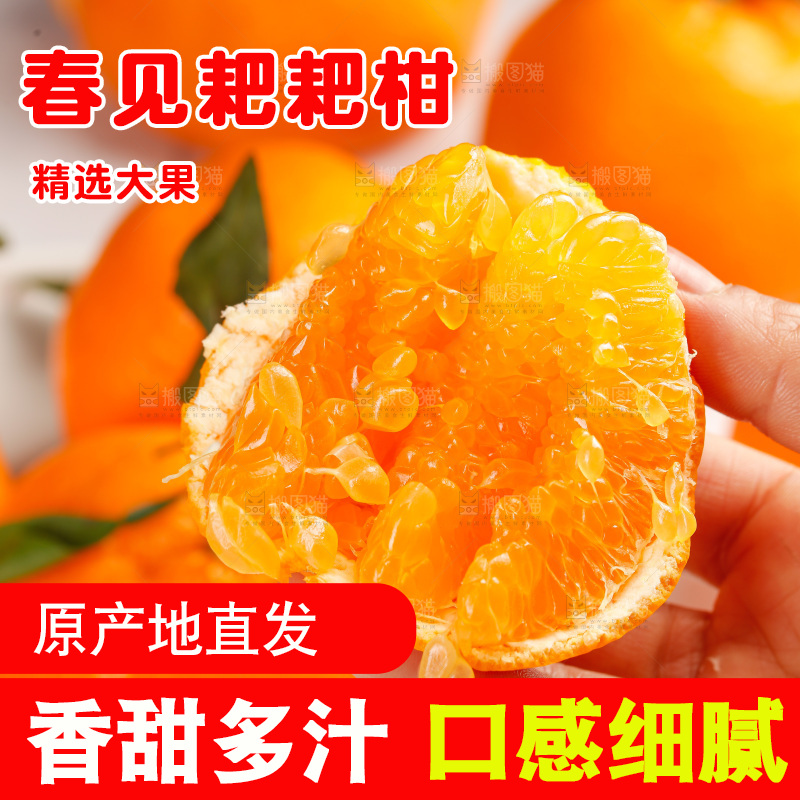 春见耙耙柑